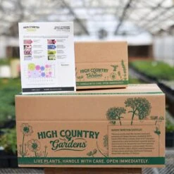 August Afternoons Pre-Planned Garden -High Country Gardens Store august ppg ship