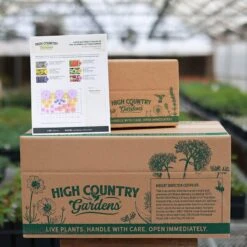 Butterfly Paradise Pre-Planned Cottage Garden -High Country Gardens Store butterfly ppg ship