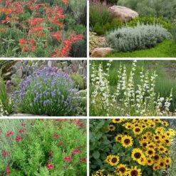 FireSmart Collection - Zone 2 -High Country Gardens Store firewise zone 2 10 15 24