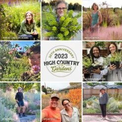 Native Dry Area Wildflower Seed Mix -High Country Gardens Store hcg pdp persuasion social proof v3 1 1 6