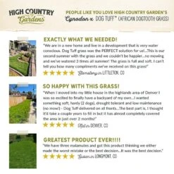 Dog Tuff™ Grass Plugs -High Country Gardens Store hcg pdp testimonials dog tuff