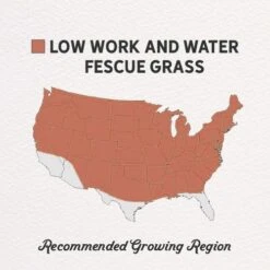 Low Work And Water Dwarf Fescue Grass Seed 9 Low Work And Water Dwarf Fescue Grass Seed -High Country Gardens Store low work and water seed mix regions