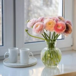 Pastel Ranunculus Mix -High Country Gardens Store pastel ranunculus mix pastel persian buttercup mix window still vase
