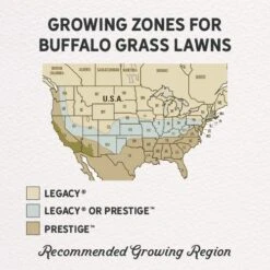 Prestige™ Buffalo Grass Plugs -High Country Gardens Store prestige and legacy gph regions 1