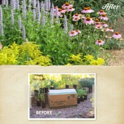 Summer Dreams Pre-Planned Garden -High Country Gardens Store summer dreams before after