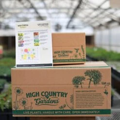 Summer Showstopper Pre-Planned Garden -High Country Gardens Store summer ppg ship 1